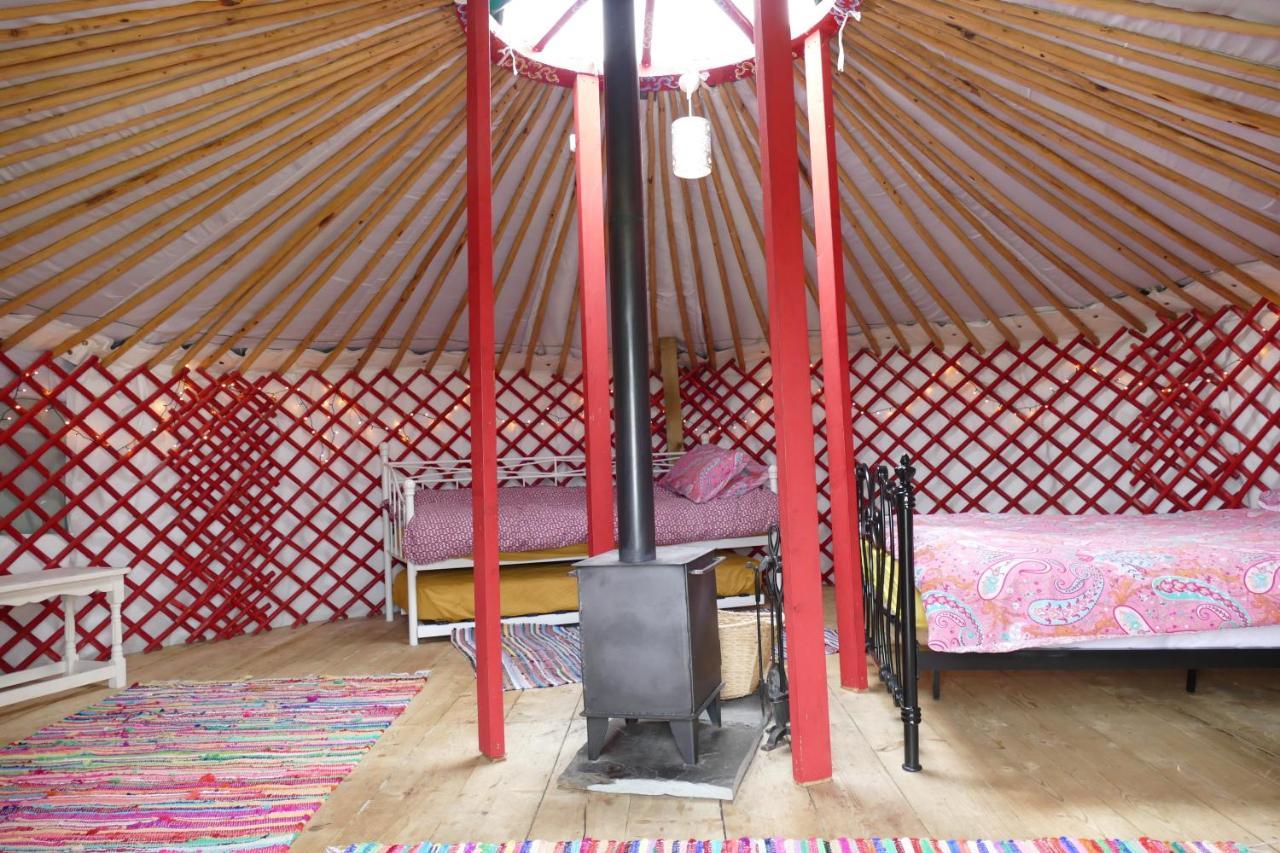 Alder Yurt Wych Elm Glamping Hotell Helston Exteriör bild